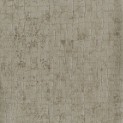 Acacia