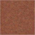 Beton Cas 