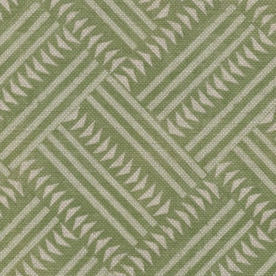 Ткань Levis and Wood fabric LW 242 483 Cactus