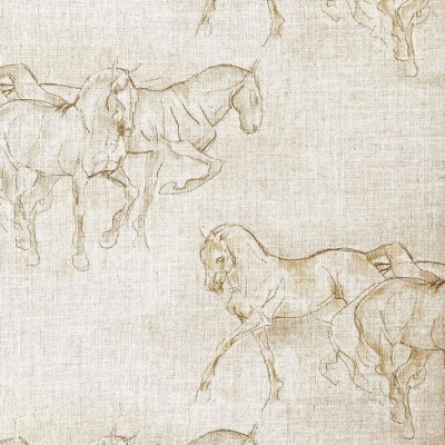 Equus