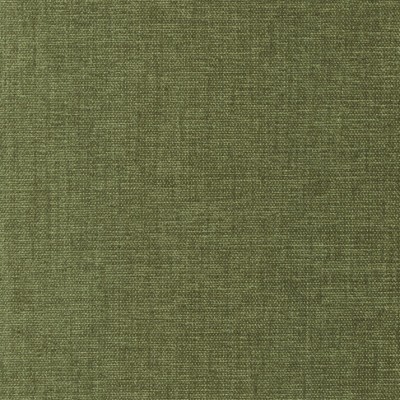 Ткань Levis and Wood fabric LW 313 269 Myrtle