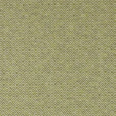 Ткань Ashley Wilde fabric Darcy...