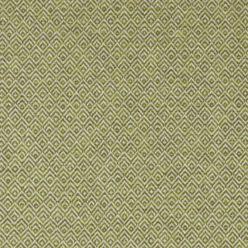 Ткань Ashley Wilde fabric Darcy Tilly Olive 