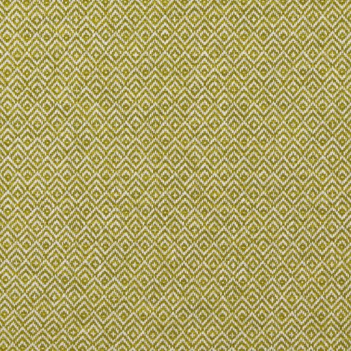 Ткань Ashley Wilde fabric Darcy Tilly Pear 