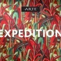 Коллекция обоев Expedition A (Arte )