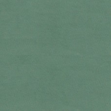 Ткань CJM fabric Velvety Aloe 