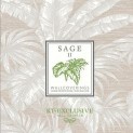 Коллекция обоев Sage II KT (KT-Exclusive )