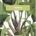 Каталог тканей Tropics tkani