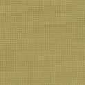 Colorisma S
