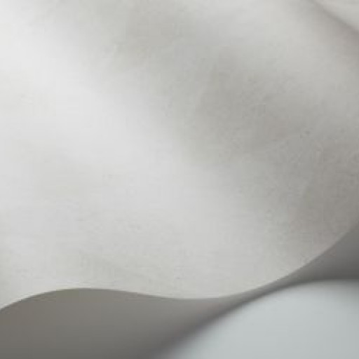 Обои BorasTapeter 1653 