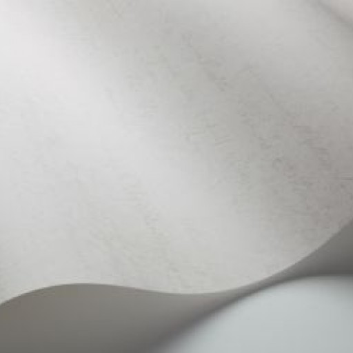 Обои BorasTapeter 1660 