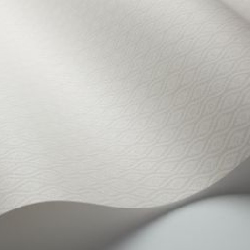 Обои BorasTapeter 1669 