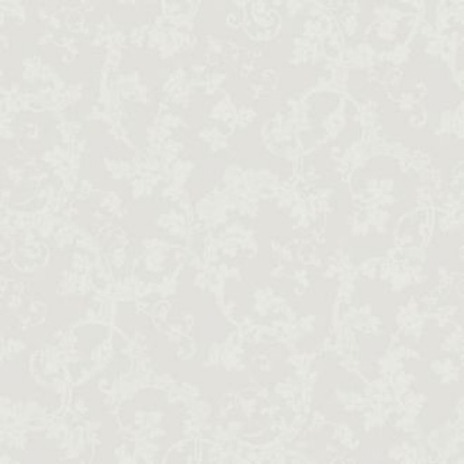 Обои BorasTapeter 1673 