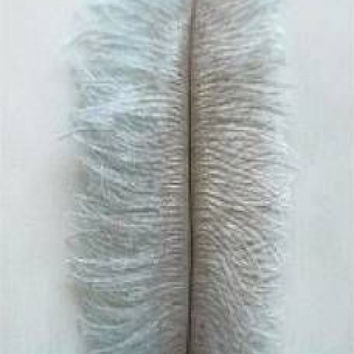 Обои Casadeco Innocence ICC27696132