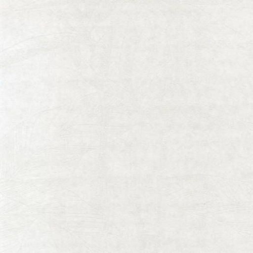 Обои Casadeco So White 2 SWI24840116