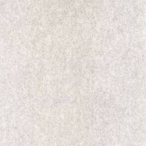 Обои Casamance Chromatic Black and White C72000306