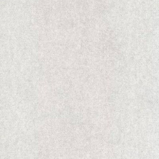 Обои Casamance Chromatic Black and White C72010231