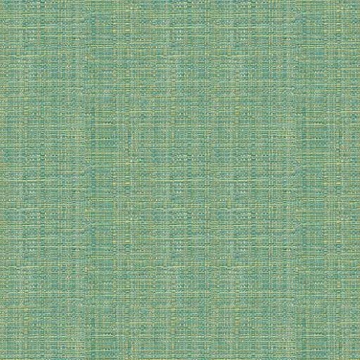 Ткань Brunschwig and Fils fabric 8012139.513.0