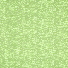 Ткань Brunschwig and Fils fabric 8017154.3.0