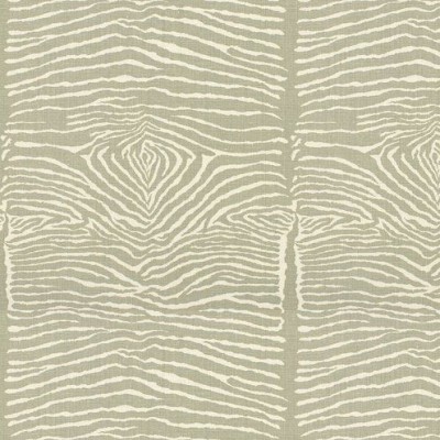 Ткань Brunschwig and Fils fabric BR-79168.11.0