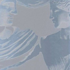 Обои Prestigious Textiles Icon 1964-920 