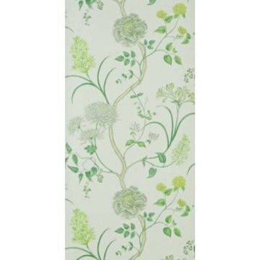 Обои Sanderson dapgst104 