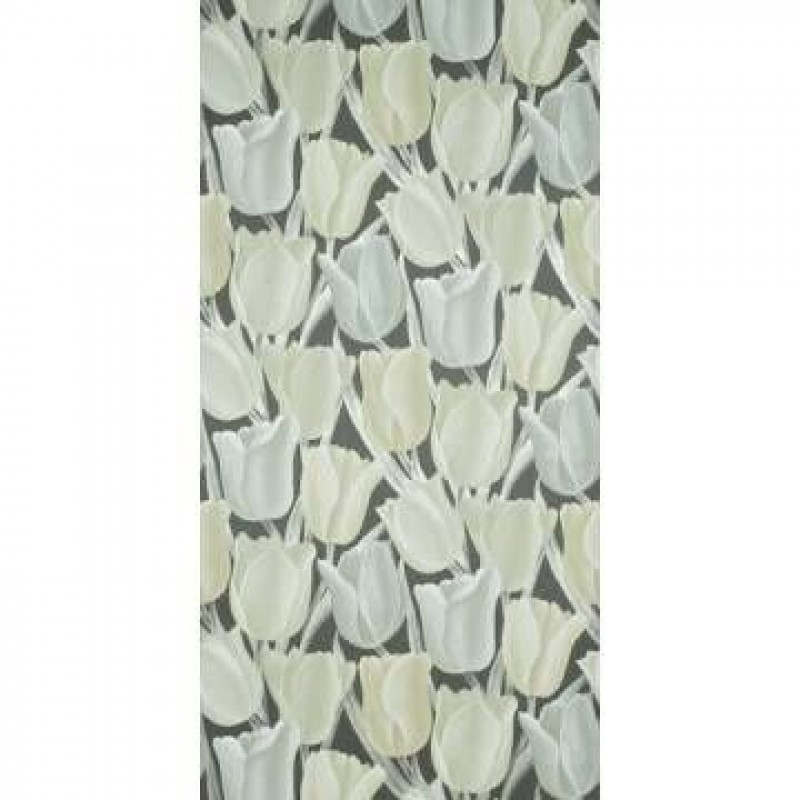 Обои Sanderson dviwea105 Обои Sanderson dviwea105