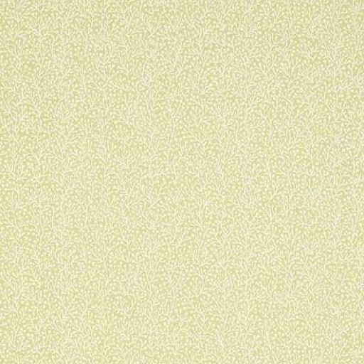 Обои Thibaut T5780