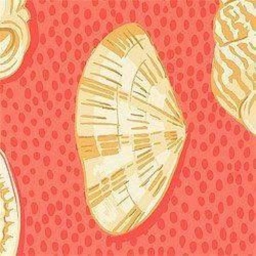 Обои Thibaut Seaside T6707 Coral