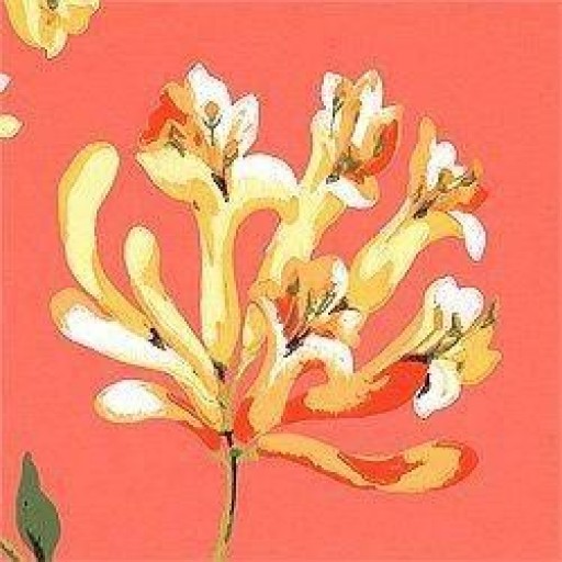 Обои Thibaut Seaside T6721 Coral