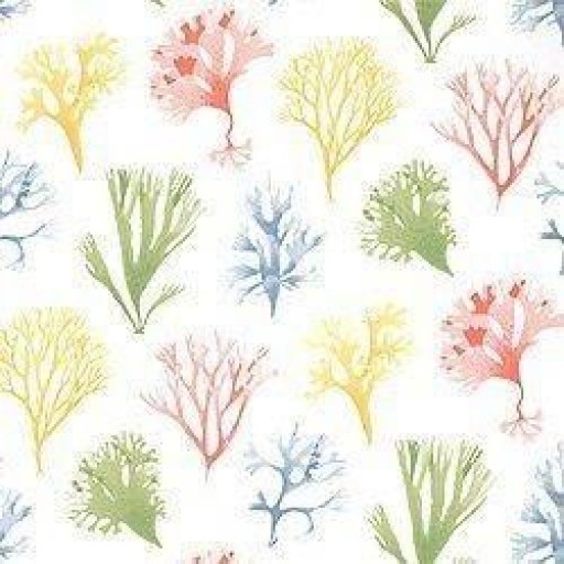 Обои Thibaut Seaside T6740 White