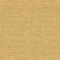Penrose Texture