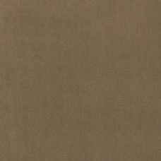 Ткань Kravet fabric LZ-30219.26.0