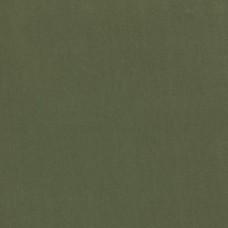 Ткань Kravet fabric LZ-30219.13.0