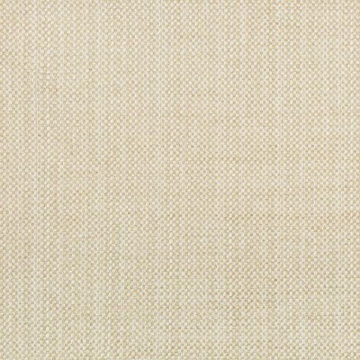 Ткань Kravet fabric 34464.116.0