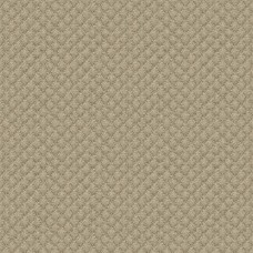 Ткань Kravet fabric 25807.11.0