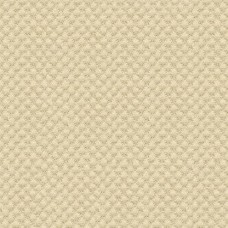 Ткань Kravet fabric 25807.1111.0