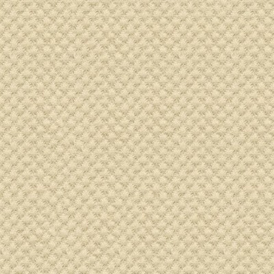 Ткань Kravet fabric 25807.1111.0