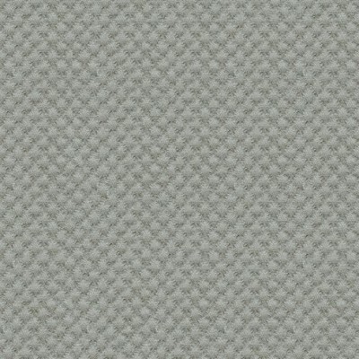 Ткань Kravet fabric 25807.1121.0