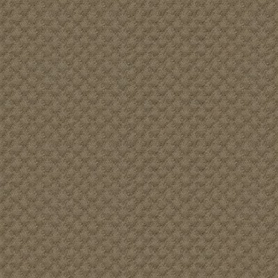 Ткань Kravet fabric 25807.106.0
