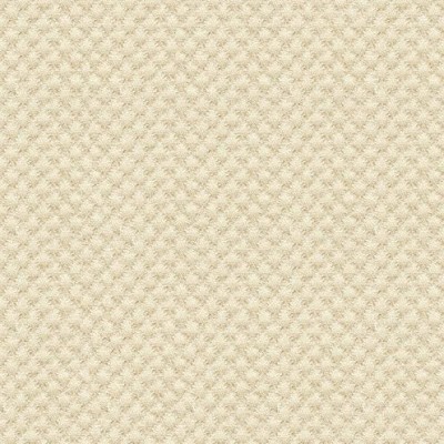 Ткань Kravet fabric 25807.1116.0