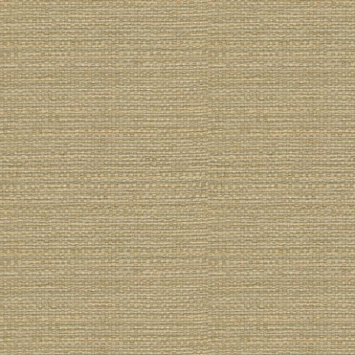 Ткань Kravet fabric 27952.1106.0