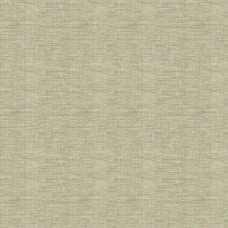 Ткань Kravet fabric 34174.2116.0