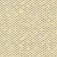 Ткань Kravet fabric 30631.135.0