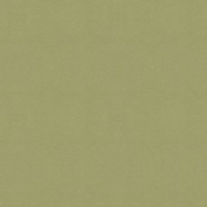 Ткань Kravet fabric 30787.2323.0
