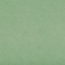 Ткань Kravet fabric 30787.303.0