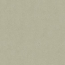 Ткань Kravet fabric 30787.2101.0