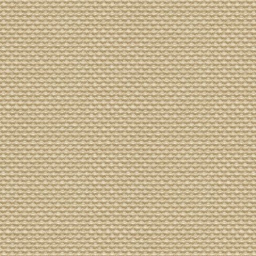 Ткань Kravet fabric 30828.1616.0