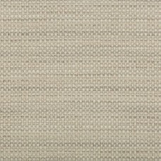 Ткань Kravet fabric 30873.1611.0
