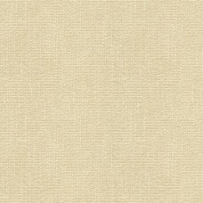 Ткань Kravet fabric 31682.1001.0